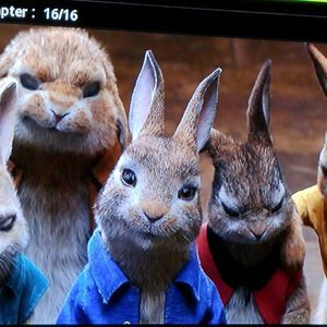 Meet your Posher, Denise